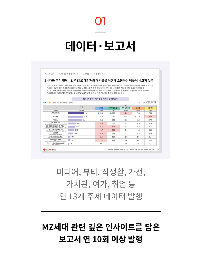 데이터 보고서